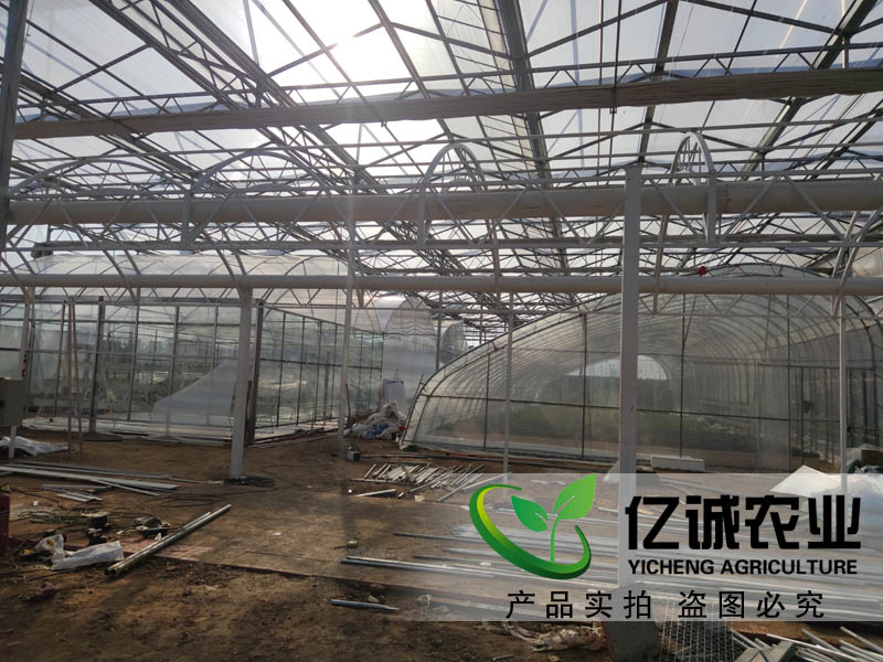 拱形薄膜溫室大棚