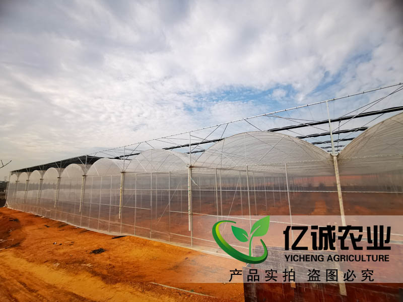 江西薄膜連棟溫室建設
