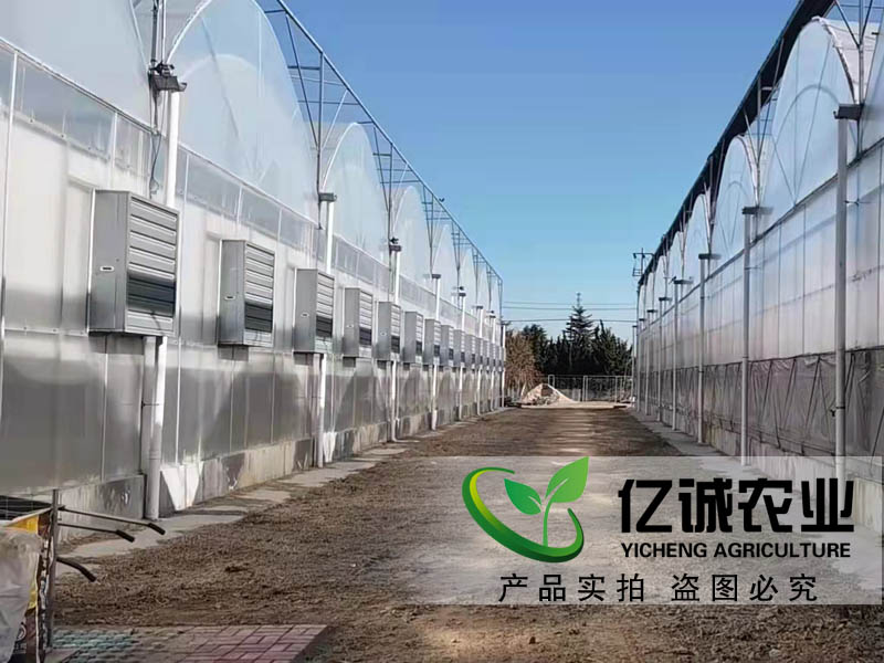 雙膜雙拱聯(lián)動大棚建設(shè)